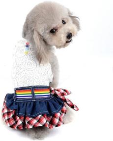 img 4 attached to 👑 SELMAI Dog Costumes: Princess Denim Tutu Skirt for Small Pets - Party Rompers, Cat Puppies Jumpsuit & Hollow Lace Floral Vest Shirt. Perfect Girls Sundress for Spring, Summer, Autumn