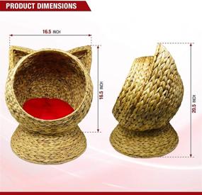 img 1 attached to 🐱 Altitude WorldWide Water Hyacinth 20 Inch Handcrafted Cat Bed Basket House with Removable Cushion - Easy to Clean