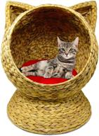 🐱 altitude worldwide water hyacinth 20 inch handcrafted cat bed basket house with removable cushion - easy to clean logo