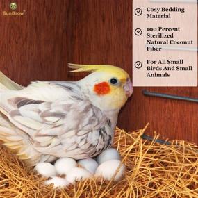 img 2 attached to 🥥 SunGrow Finch Coconut Fiber: 1.5 oz Loose Bedding Substrate for Nest Cages, Budgie Hummingbird Canary Parakeet Nesting Material