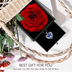 img 2 attached to 🌹 Red Preserved Real Rose with Angel Wings Necklaces for Women – Enchanted Rose Flower Gifts for Mom, Her, Girlfriend, Wife on Birthday, Anniversary, Christmas, Mother's & Valentine's Day