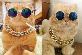 img 2 attached to 🕶️ Coolrunner Hilarious Pet Sunglasses and Trendy Plated Gold Chain Necklace (15” x 0.39”) with Flexible Length for Cats and Small Dogs Fashion Costume and Photo Shooting (8 cm Sunglasses)