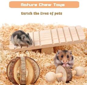 img 2 attached to Hamster Chinchillas Accessories Dumbells Exercise