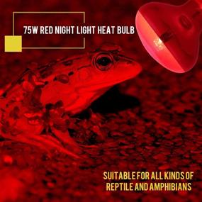 img 1 attached to 🦎 OMAYKEY 75W Red Light Infrared Spot Heat Lamp Bulbs for Lizard, Snake, Chameleon, Bearded Dragon - Ideal for Aquarium Reptiles & Amphibians - Pack of 2