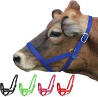 🐄 derby originals adjustable nylon livestock cattle halters: versatile and reliable logo