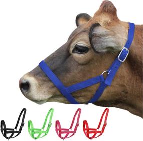 img 4 attached to 🐄 Derby Originals Adjustable Nylon Livestock Cattle Halters: Versatile and Reliable