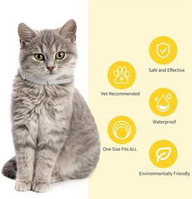 img 3 attached to Cat Collar - 2 Pack, Natural Prevention for Cats, 8 Months Protection, Adjustable & Waterproof, One Size Fits All Cats - Includes Comb