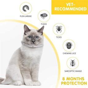 img 2 attached to Cat Collar - 2 Pack, Natural Prevention for Cats, 8 Months Protection, Adjustable & Waterproof, One Size Fits All Cats - Includes Comb