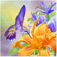 🏡 enhance your home with mxjsua diy 5d diamond painting full square drill kits – hummingbird orange and purple attraction (40x40cm) logo