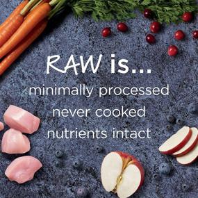 img 1 attached to 🐶 Grain-Free Puppy Food: Instinct Raw Boost with Natural High Protein Kibble + Freeze Dried Raw Dry Puppy Food