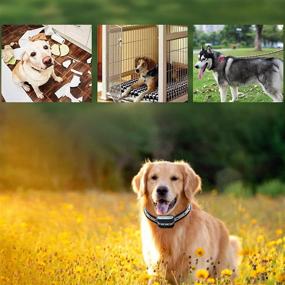 img 3 attached to Wireless Dog Fence System - Electric Fence for Dogs, Safest Underground Containment with Large Radius Coverage - Cat Wire Training Aids. Train 1-5 Pets, Covers Up to 22.23 Acres with 5 Level Waterproof Shock Collar