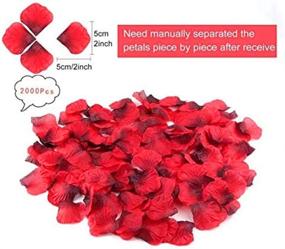 img 2 attached to Rose Gold Marry Me Balloons with 2000 PCS Dark-Red Silk Rose 💍 Petals - Perfect for Memorable Marriage Proposal Ideas, Wedding Decorations & Love-filled Celebrations