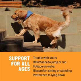 img 1 attached to 🐶 Glucosamine for Dogs Soft Chews: Ultimate Hip & Joint Supplement with Chondroitin, Turmeric, MSM, Vitamin E - Enhanced Mobility Support for Small, Large Breed & Senior Dogs