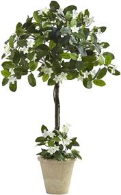 img 3 attached to Почти натуральный Stephanotis Topiary Planter