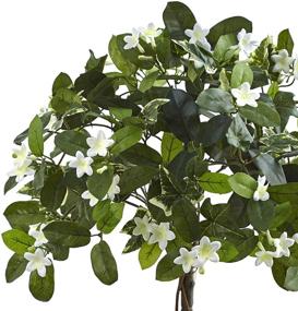 img 1 attached to Почти натуральный Stephanotis Topiary Planter