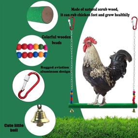 img 2 attached to 🐔 GABraden Chicken Swing - Natural Wooden Colorful Toy for Hens, Handmade Bird Swing Toy for Large Birds like Parrots, Macaws, and Chickens - Trainning, Chicken Coop Accessories