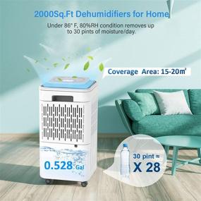 img 3 attached to 🏠 LUKO 2000sq.ft Dehumidifiers for Basements: Ultra Quiet, Efficiently Removes Home Moisture with Drain Hose, Auto Defrost, 68oz Water Tank, 2 Side Filters