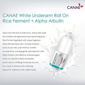 img 2 attached to 🌿 CANAE Underarm Skin Renewal Roll On: Best Natural Deodorant for Sensitive Skin, Alpha Arbutin + Rice Ferment, Aluminum-Free, Organic Fragrance, Travel Size - Ideal for Women and Men