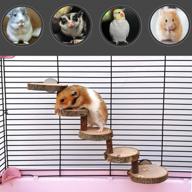 🐭 zaryieeo small pet chewing toy - wooden ladder for sugar glider, mouse, chinchilla, rat, gerbil and dwarf hamster - ideal supplies for bird parrot, guinea pigs, and hamster cages logo