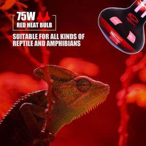 img 2 attached to Infrared Basking Bulb，LEDESIGN Reptiles Amphibian Reptiles & Amphibians