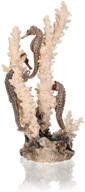 🌿 medium natural biorb seahorses on coral sculpture - enhance your seo logo