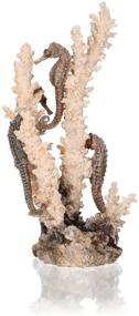 img 2 attached to 🌿 Medium Natural biOrb Seahorses On Coral Sculpture - Enhance Your SEO