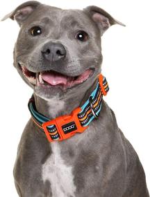 img 1 attached to 🐶 DOOG - Adjustable Neoprene Padded Dog Collar for XSmall, Small, Medium, and Large Dogs and Puppies - Soft, Breathable, Water-Friendly, Ideal for Walking, Running, Swimming in Pools, Lakes, and Beaches