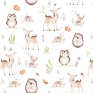 fawn woodland gift wrap wrapping paper - folded flat 30 x 20 inch (pack of 3 sheets) logo