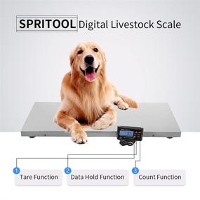 img 2 attached to High Capacity Large Platform Animal Weighing Scale: 660LB Performance and Precision