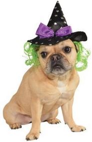 img 3 attached to 🔮 SEO-Optimized Pet Accessory: Star Witch Hat with Hair by Rubies Costume