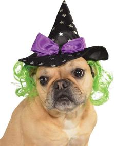 img 4 attached to 🔮 SEO-Optimized Pet Accessory: Star Witch Hat with Hair by Rubies Costume