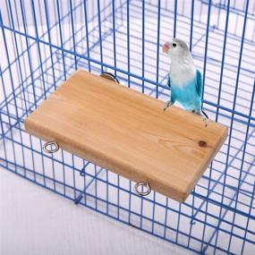 img 1 attached to 🐦 Natural Wood Pet Parrot Perch Stand: Ideal Platform for Birds & Small Animals, with Paw Grinding Stick & Chewing Toys - Cage Playpen Accessories for Parakeet, Conure, Hamster & Mouse