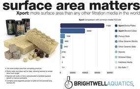 img 1 attached to Activated Denitrification Filter Media Xport NO3 Cubes by Brightwell Aquatics with Sulphur Doping - Filtration Media for Aquarium Tank