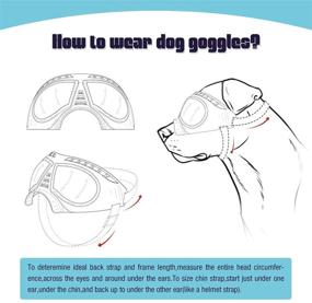 img 2 attached to 🐶 Large Breed Dog Sunglasses by PETLESO - Dog Goggles for Outdoor Activities, Eye Protection for Driving, Skiing (Black)