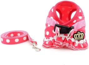 img 1 attached to Ranphy Polka Dot Small Dog Cat Harness: Stylish Step-in Vest with Leash Set, Perfect for Walking, Training, and Hiking!