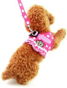 img 3 attached to Ranphy Polka Dot Small Dog Cat Harness: Stylish Step-in Vest with Leash Set, Perfect for Walking, Training, and Hiking!