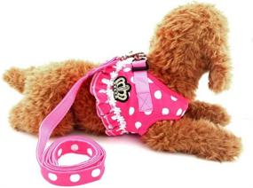 img 4 attached to Ranphy Polka Dot Small Dog Cat Harness: Stylish Step-in Vest with Leash Set, Perfect for Walking, Training, and Hiking!