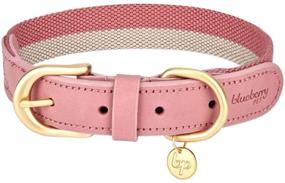 img 4 attached to Exclusive Collection: Blueberry Pet Genuine Leather Dog Collars - Choose from 10+ Alluring Patterns, 2 Varieties Available