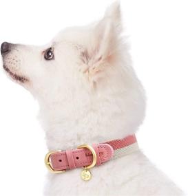 img 2 attached to Exclusive Collection: Blueberry Pet Genuine Leather Dog Collars - Choose from 10+ Alluring Patterns, 2 Varieties Available
