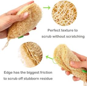 img 1 attached to 🌿 GreeOn 2-Pack Eco-Friendly Loofah Kitchen Sponges (No Odor, Compostable) - Organic Fruit and Vegetable Scrubber Sponge, Reusable Non-Scratch Scouring Pads for Dish Washing (Drops)