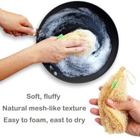 img 2 attached to 🌿 GreeOn 2-Pack Eco-Friendly Loofah Kitchen Sponges (No Odor, Compostable) - Organic Fruit and Vegetable Scrubber Sponge, Reusable Non-Scratch Scouring Pads for Dish Washing (Drops)