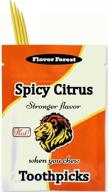 🌶️ spicy citrus cinnamon toothpicks logo