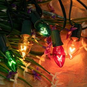 img 2 attached to 🎄 C7 Multicolor Christmas String Light Set, 25ft Vintage Tree Lights: Outdoor Roofline Décor for Patio Garden, Holiday Indoor Wedding - Green Wire