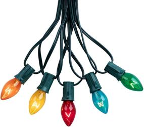 img 4 attached to 🎄 C7 Multicolor Christmas String Light Set, 25ft Vintage Tree Lights: Outdoor Roofline Décor for Patio Garden, Holiday Indoor Wedding - Green Wire