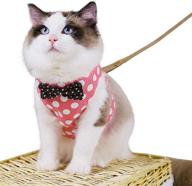 🐱 crowny cat harness and leash set: escape proof vest harness for easy walking and running with stylish bowknot polka dot design логотип