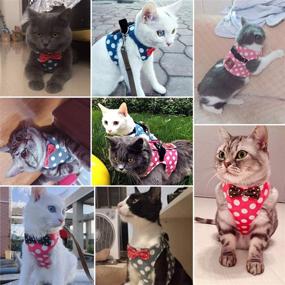 img 3 attached to 🐱 CROWNY Cat Harness and Leash Set: Escape Proof Vest Harness for Easy Walking and Running with Stylish Bowknot Polka Dot Design