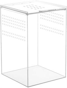 img 4 attached to 🐍 NANEEZOO 6x6x9 Magnetic Acrylic Reptile Cage: Transparent Enclosure for Tarantulas, Scorpions, and Invertebrates