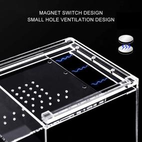 img 3 attached to 🐍 NANEEZOO 6x6x9 Magnetic Acrylic Reptile Cage: Transparent Enclosure for Tarantulas, Scorpions, and Invertebrates