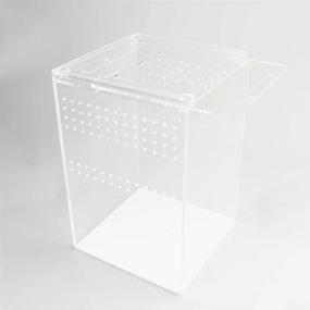 img 2 attached to 🐍 NANEEZOO 6x6x9 Magnetic Acrylic Reptile Cage: Transparent Enclosure for Tarantulas, Scorpions, and Invertebrates