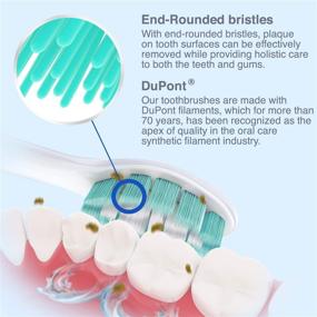 img 2 attached to 🪥 8 Pack Brushmo Replacement Toothbrush Heads Compatible with Sonicare Electric Toothbrush